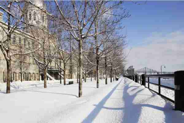Winter Montreal
